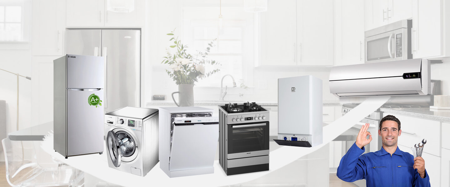 Germencik Windsor Servisi